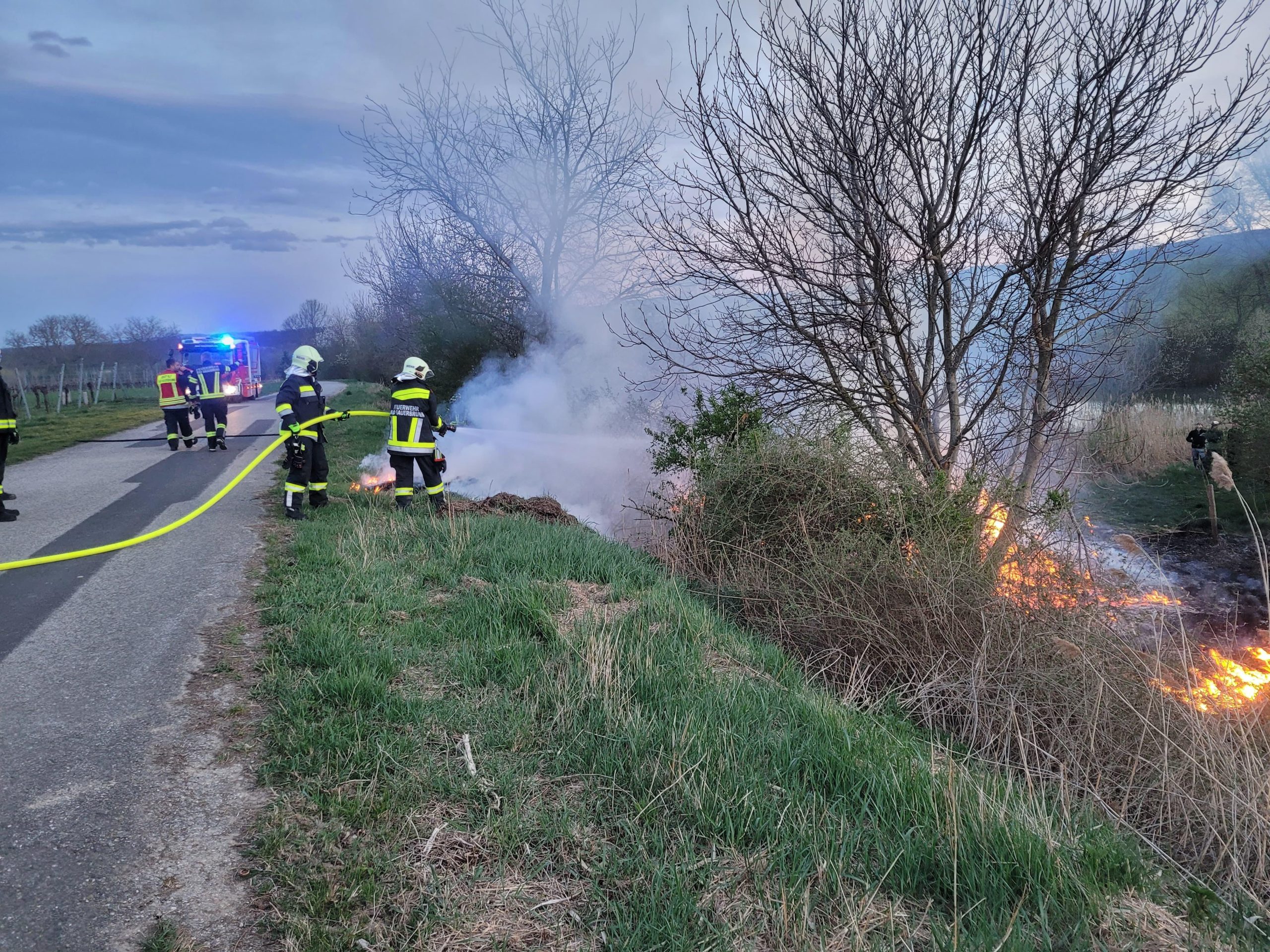 Mitglieder der Feuerwehr Bad Sauerbrunn bei der Bekämpfung eines Flurbrandes